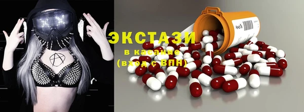 шишки Пестово