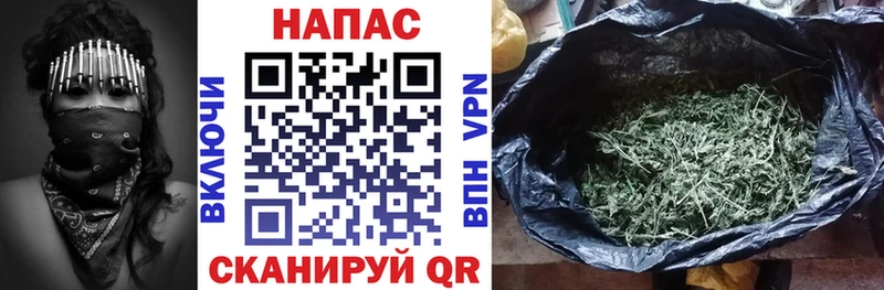 МАРИХУАНА семена  Ленинск 